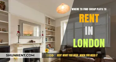 Discover Affordable London Rentals: Top Areas for Cheap Flats