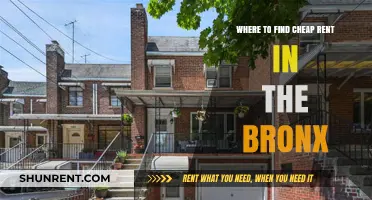 Discover Affordable Bronx Rentals: Hidden Gems for Budget-Friendly Living