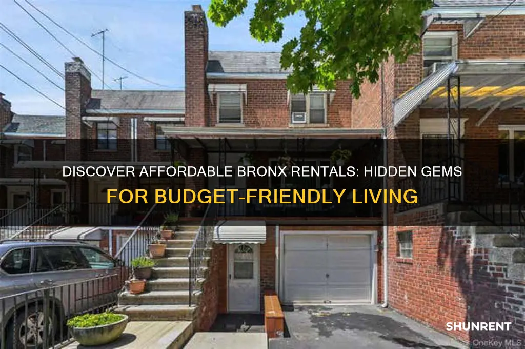 where to find cheap rent in the bronx