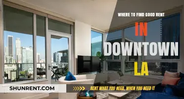 Discover Affordable Downtown LA Rentals: Top Neighborhoods and Tips