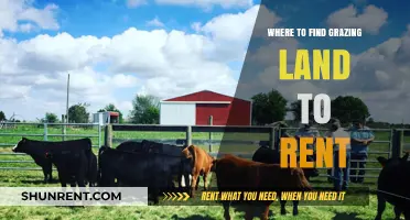 Discover Ideal Grazing Land Rentals: A Comprehensive Guide