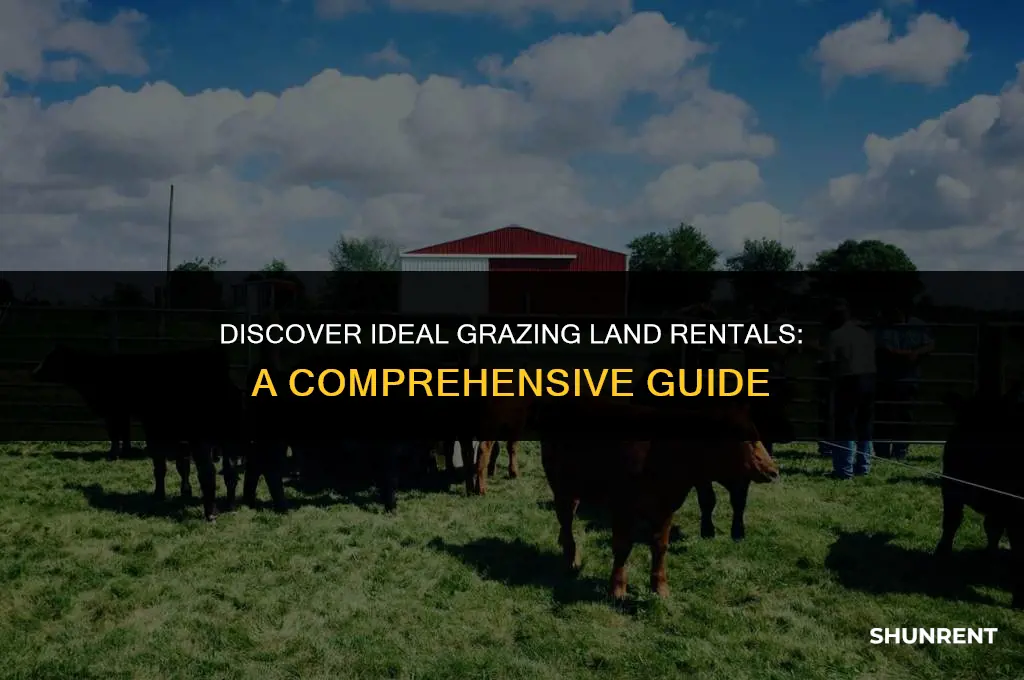 where to find grazing land to rent