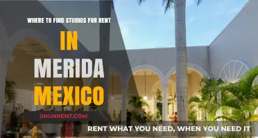 Discover Top Studios for Rent in Merida, Mexico: Your Guide
