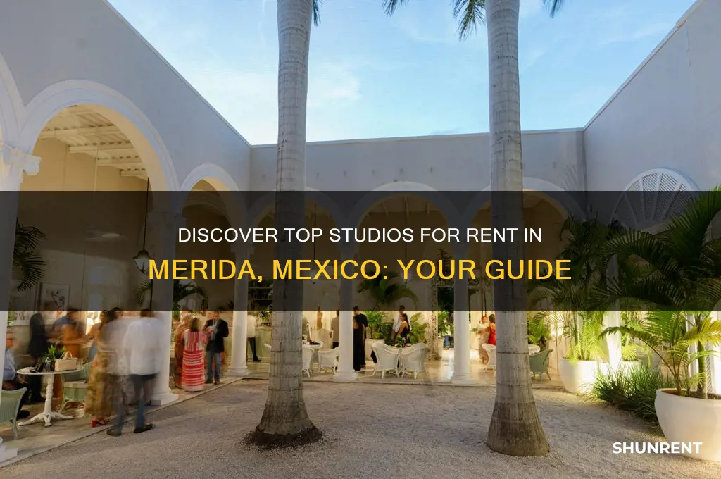 where to find studios for rent in merida mexico