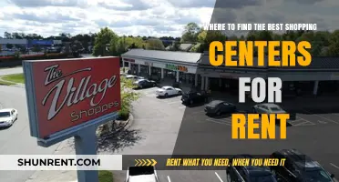 Top Shopping Centers for Rent: Prime Locations to Boost Your Business