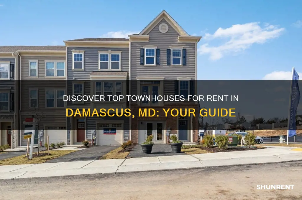 where to find townhouses for rent in damascus md