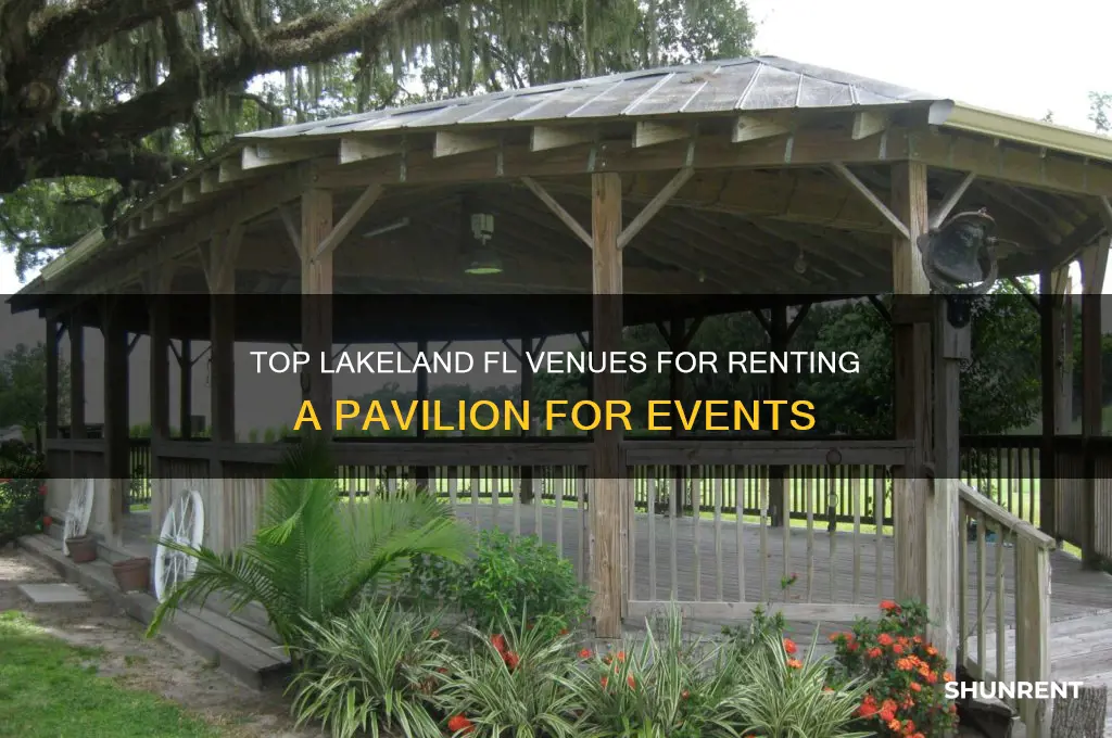 where to go to rent a paviolin in lakeland fl