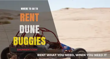 Where to Go for Dune Buggy Rentals: A Comprehensive Guide