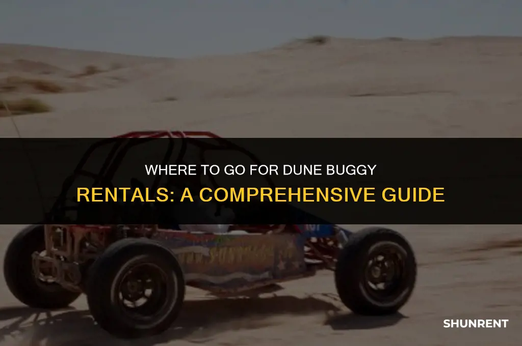 where to go to rent dune buggies