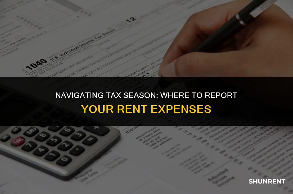 where to include rent epense in taxes