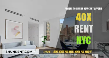 Affordable NYC Alternatives: Where to Live When 40x Rent Isn't Feasible
