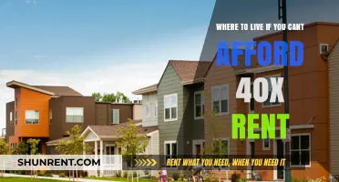 Affordable Living: Where to Settle When 40x Rent Isn't Feasible