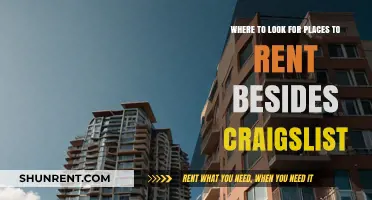 Beyond Craigslist: Top Alternative Platforms for Finding Rental Properties