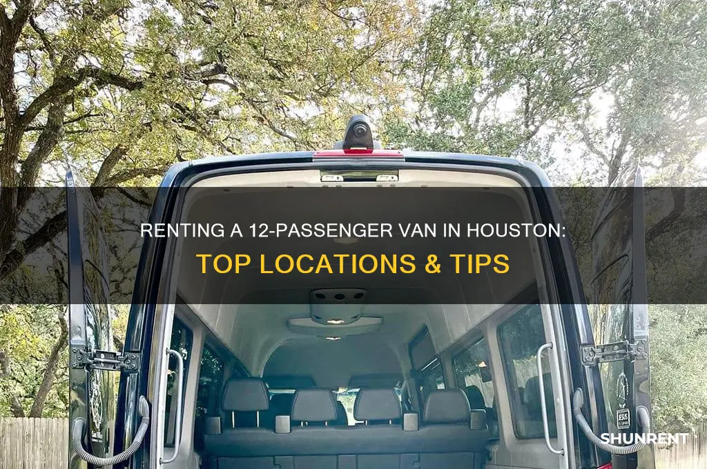 where to rent 12 passenger van in houston