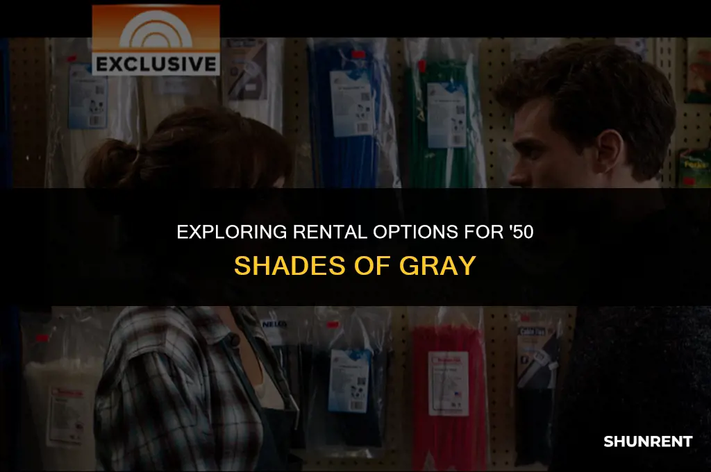 where to rent 50 shades of gray
