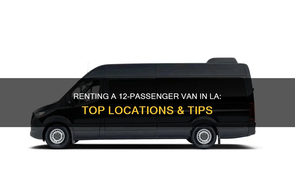 where to rent a 12 passenger van in los angeles