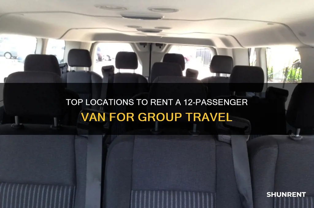 where to rent a 12 passenger van