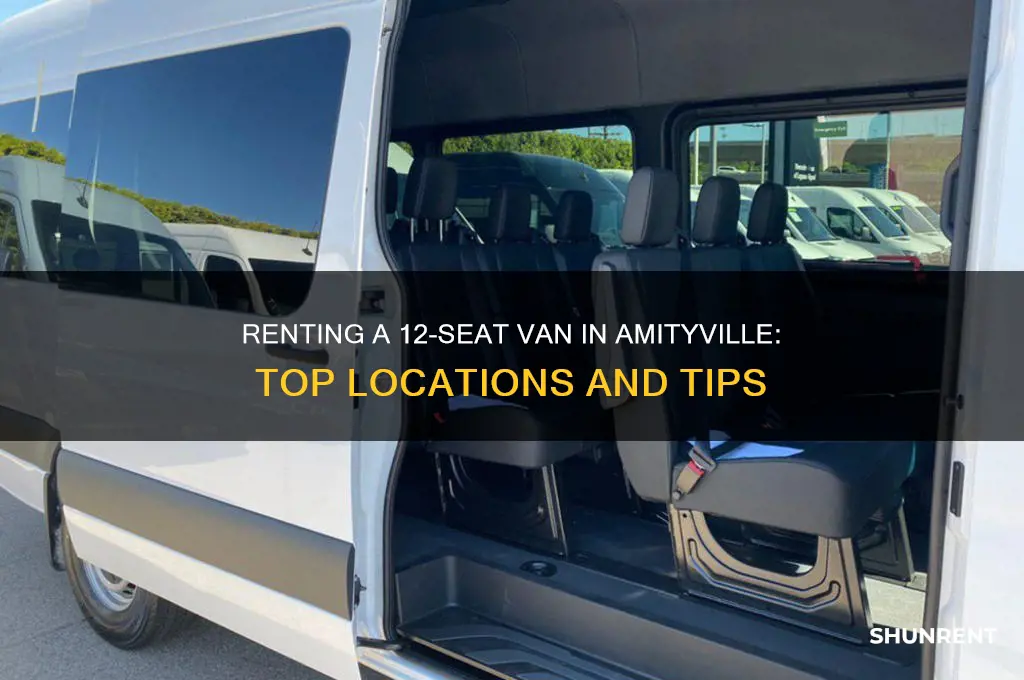 where to rent a 12 seat van in amityville