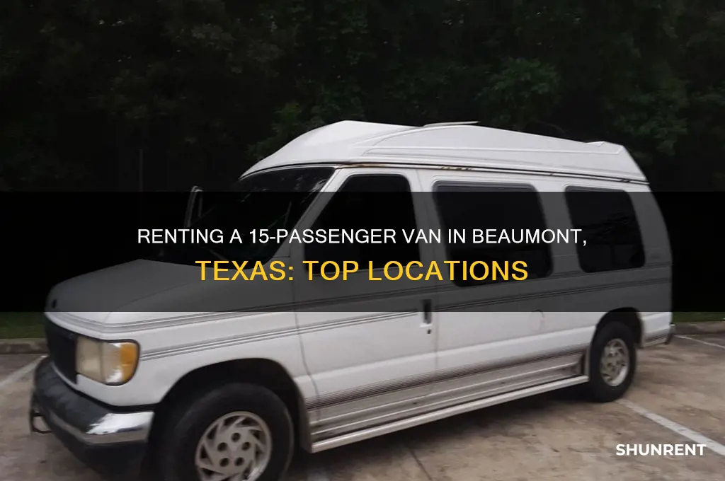 where to rent a 15 passenger van in beaumont texas