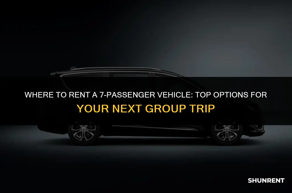 where to rent a 7 passenger vehicle