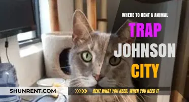Renting Animal Traps in Johnson City: Your Ultimate Guide to Local Options