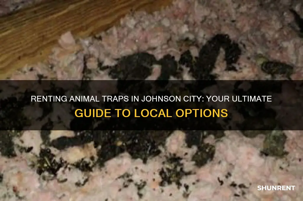 where to rent a animal trap johnson city