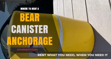 Exploring Anchorage: Your Guide to Renting a Bear Canister