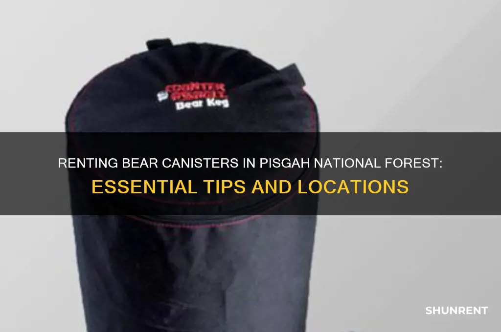 where to rent a bear canister pisgah national forest