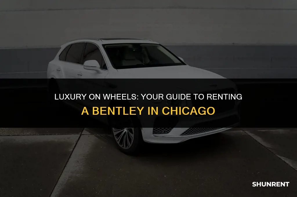 where to rent a bentley in chicago