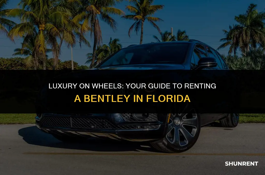 where to rent a bentley in florida