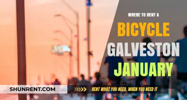 Pedal into Winter: Galveston's Best Bicycle Rentals for January Adventures