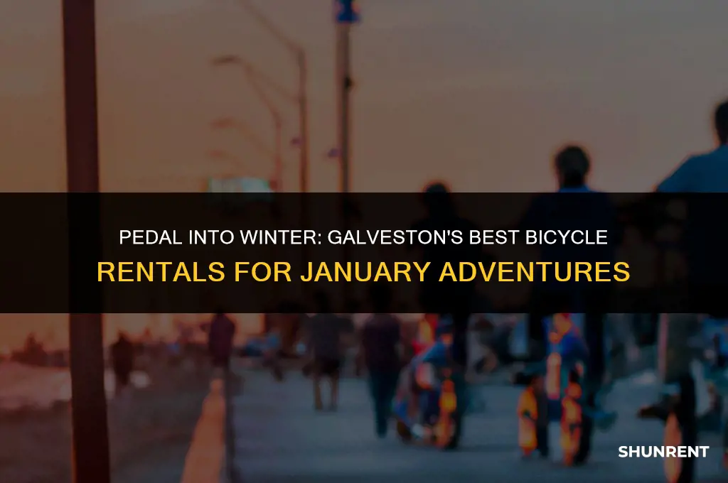 where to rent a bicycle galveston january