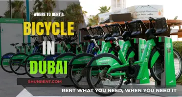 Pedal Your Way Through Dubai: Top Bicycle Rental Spots