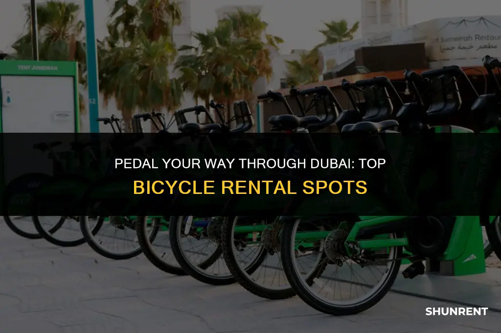 where to rent a bicycle in dubai