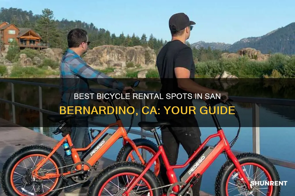 where to rent a bicycle in san bernardino ca