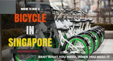 Exploring Singapore on Two Wheels: Your Guide to Bicycle Rentals