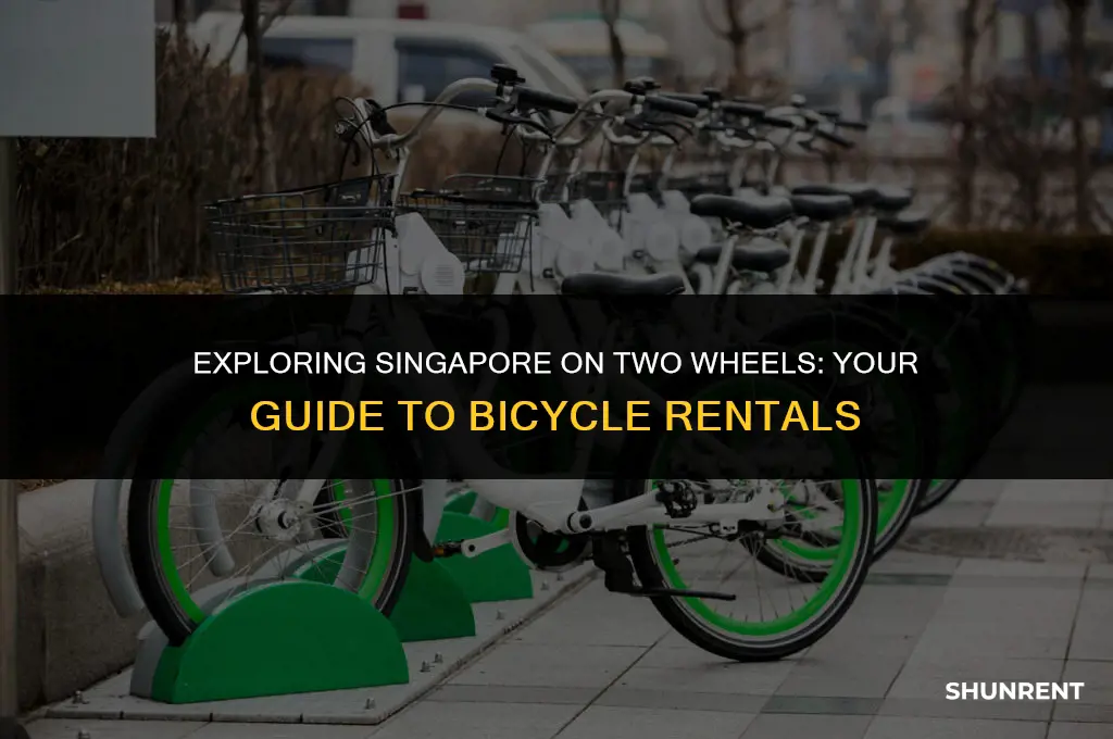 where to rent a bicycle in singapore