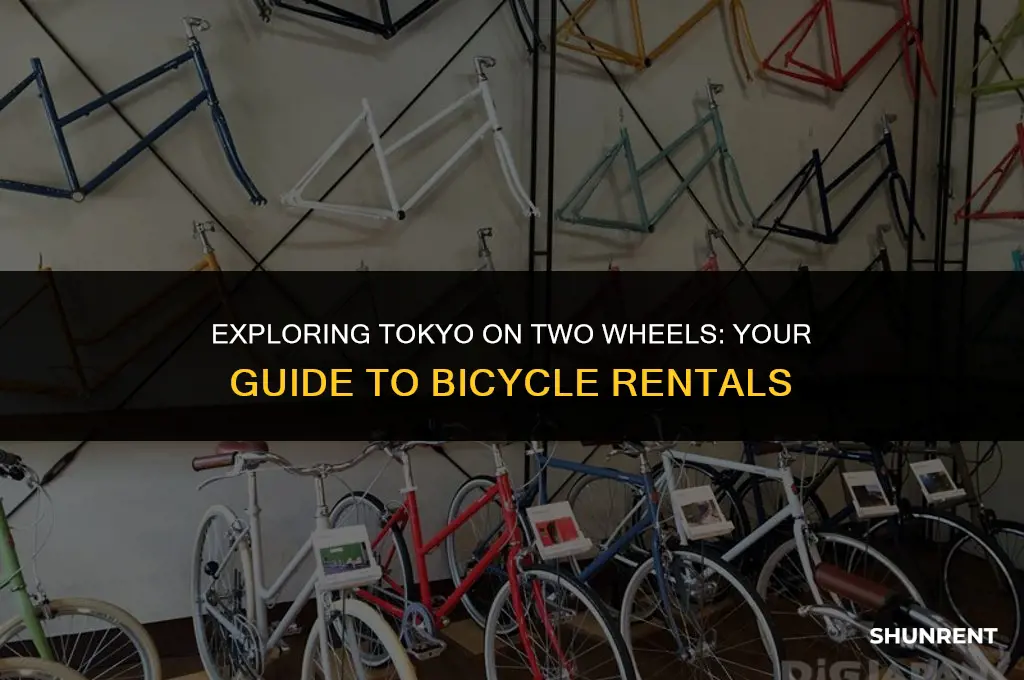 where to rent a bicycle in tokyo
