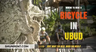 Exploring Ubud: Your Guide to Bicycle Rentals