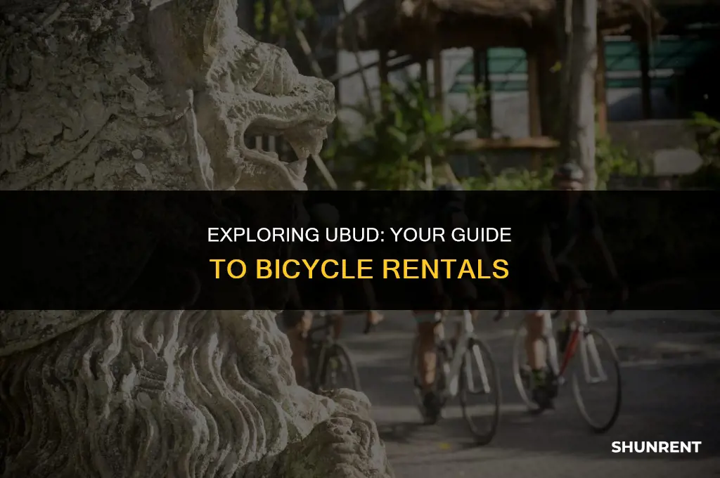 where to rent a bicycle in ubud