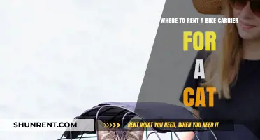 Renting a Bike Carrier for Your Cat: Top Locations and Tips