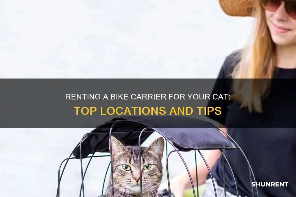where to rent a bike carrier for a cat