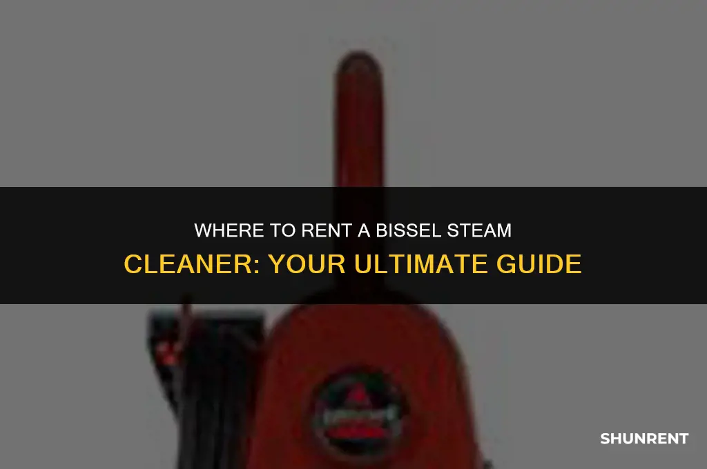 where to rent a bissel steam cleaner