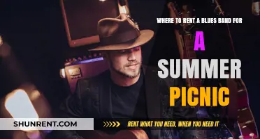 Summer Picnic Blues: Top Spots to Rent a Live Band