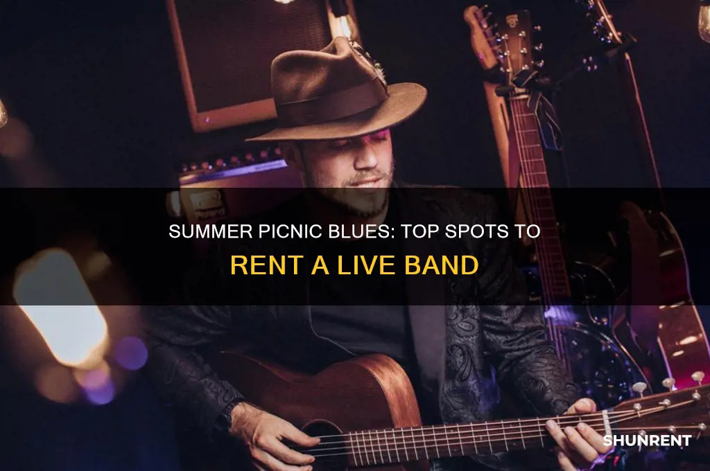 where to rent a blues band for a summer picnic
