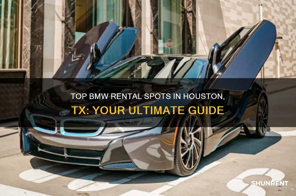 where to rent a bmw in houston tx