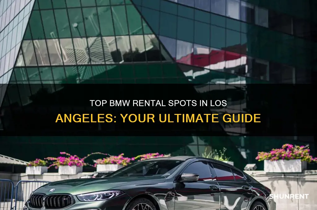 where to rent a bmw in los angeles