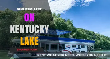 Top Spots to Rent a Boat on Kentucky Lake for Fun