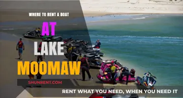 Best Spots to Rent a Boat at Lake Moomaw for Fun