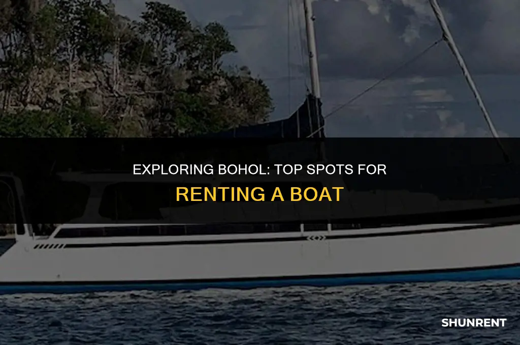 where to rent a boat in bohol